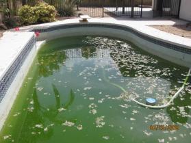 top rated sunnyvale pool removal