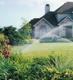 lawn care maintenance